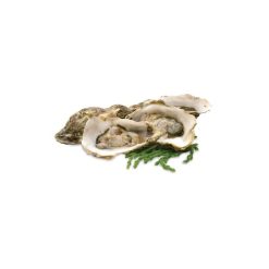 The Save Mart Company, Fresh Oyster in Shell Farm Raised, 1 Count