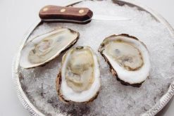 Bluepoint Oysters, 100 Count, 20 lb Case, Fresh Long Island Shellfish, Premium Quality