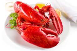 Maine Lobster Now - 2.5 lb Live Maine Lobster (2 Pack)