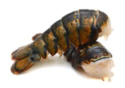 Premium Maine Lobster Tails (6–7 oz Each, 4-Pack) – Sweet, Succulent, Wild-Caught, Perfect for Surf & Turf, Grilling, Baking, or Steaming
