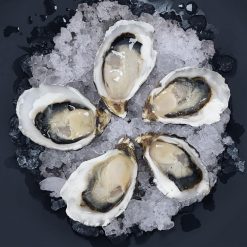 Pacific Oysters, Shucked, 1/2 Gallon, Medium, 32-48 Count, 2 Count of 4 Pound Containers, Gourmet Seafood