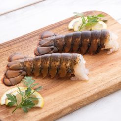 OCEANZEN Maine Lobster Tails 6–8 oz Each, Premium Grade A, Flash-Frozen for Freshness – Overnight Shipping (Mon-Thu) Available (4 Tails)