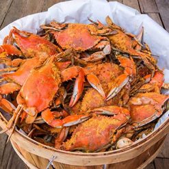 Cameron's Seafood Large Maryland Blue Crabs Males Jimmys Steamed (1 Dozen)