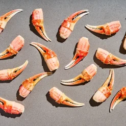 Wild Fork Foods Snow Crab Cocktail Claws 16-25 Pieces |1.0 LB by Wild Fork Foods