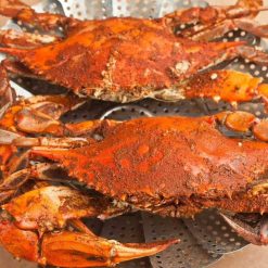 Jumbo Maryland Blue Crabs - Extra Large Jimmys Steamed (6)
